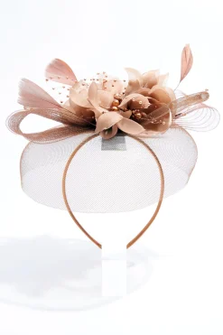 Cato Brown Mesh Feather Fascinator> Hats & Hair