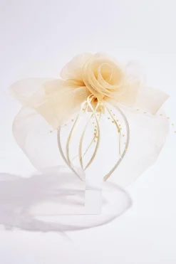 Cato Mesh Flower Feather Veil Fascinator> Hats & Hair